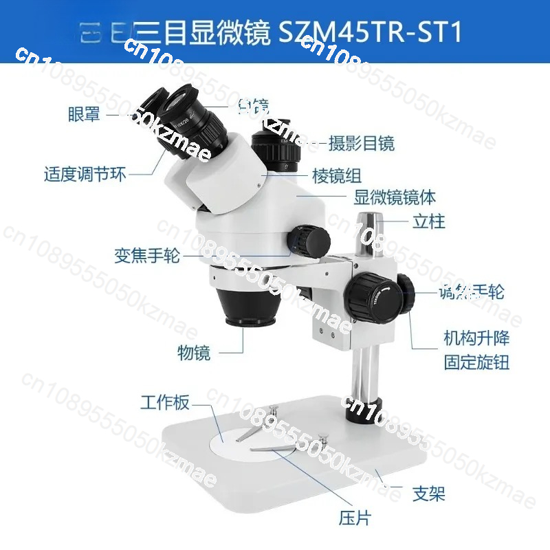 Microscopio Stereo con Zoom Co - Trinocular Stereo Microscope 7X-45X recensione e prezzo