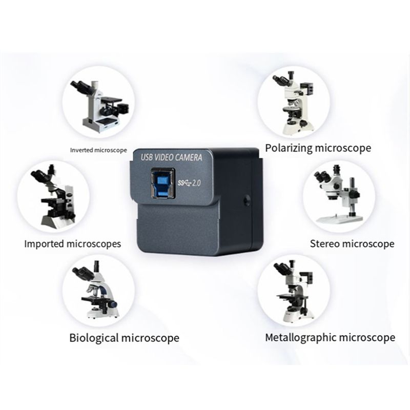 AED7-IMX Microscopio Fotocamer - 4K Microscope Camera Sony Sensor recensione e prezzo